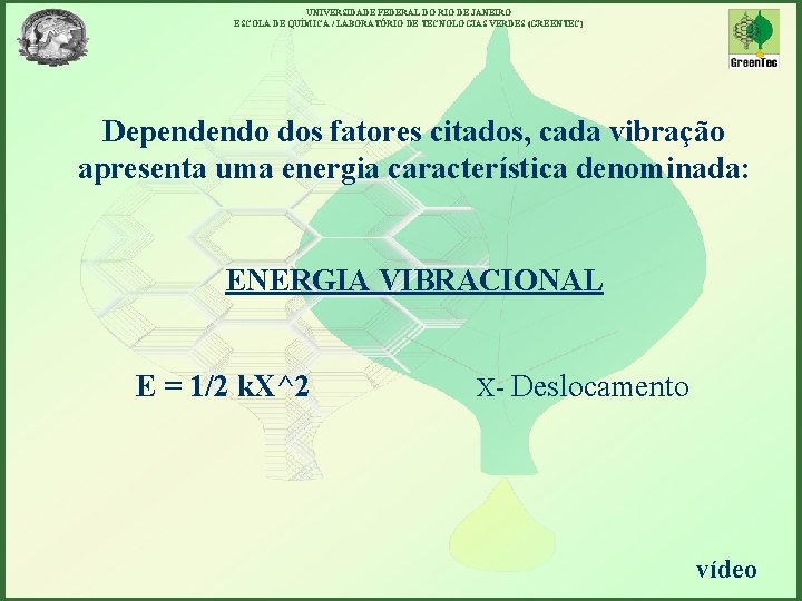 UNIVERSIDADE FEDERAL DO RIO DE JANEIRO ESCOLA DE QUÍMICA / LABORATÓRIO DE TECNOLOGIAS VERDES