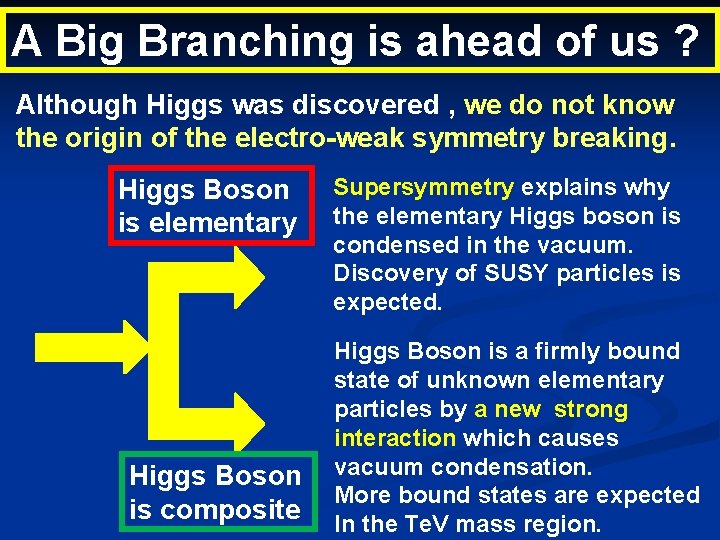 A Big Branching is ahead of us ? Although Higgs was discovered , we