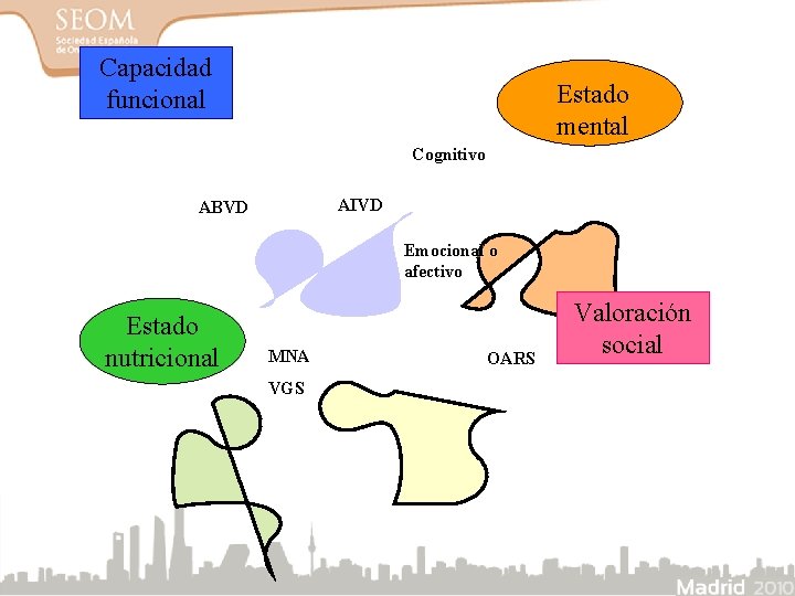 Capacidad funcional Estado mental Cognitivo AIVD ABVD Emocional o afectivo Estado nutricional MNA VGS