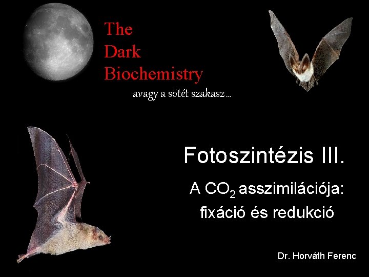 The Dark Biochemistry avagy a sötét szakasz… Fotoszintézis III. A CO 2 asszimilációja: fixáció