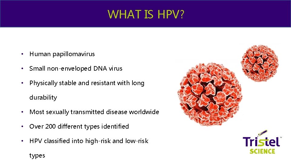 & ME WHAT IS HPV? • Human papillomavirus • Small non-enveloped DNA virus •