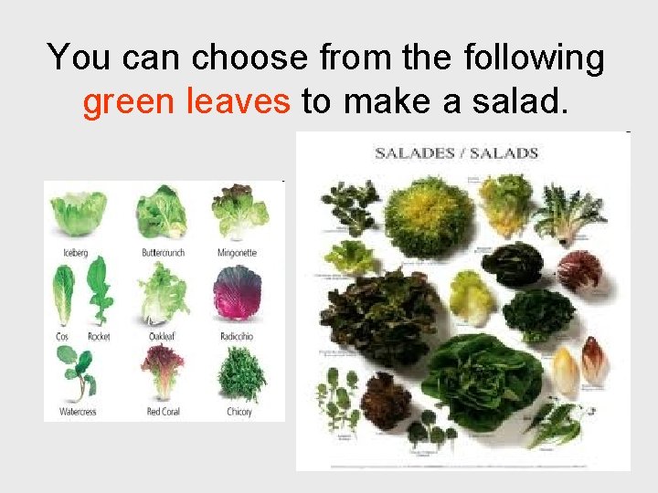 You can choose from the following green leaves to make a salad. 