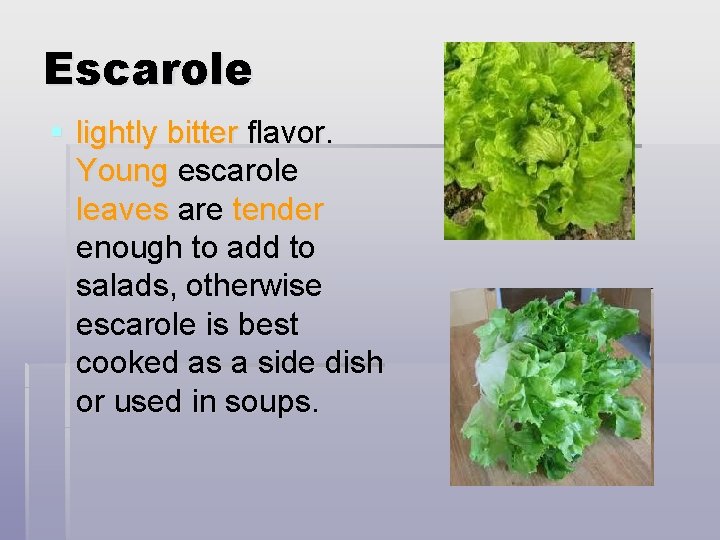 Escarole § lightly bitter flavor. Young escarole leaves are tender enough to add to