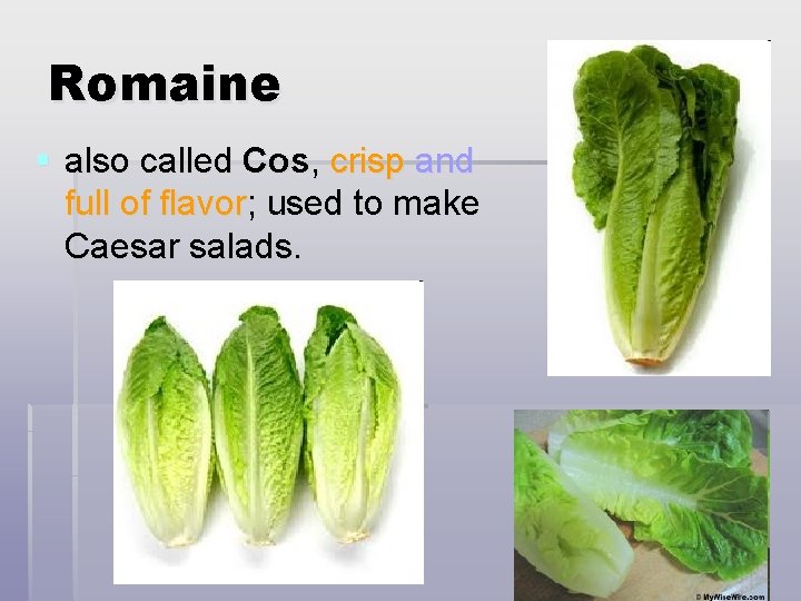 Romaine § also called Cos, crisp and full of flavor; used to make Caesar