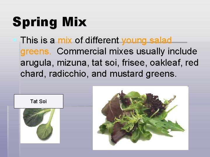 Spring Mix § This is a mix of different young salad greens. Commercial mixes