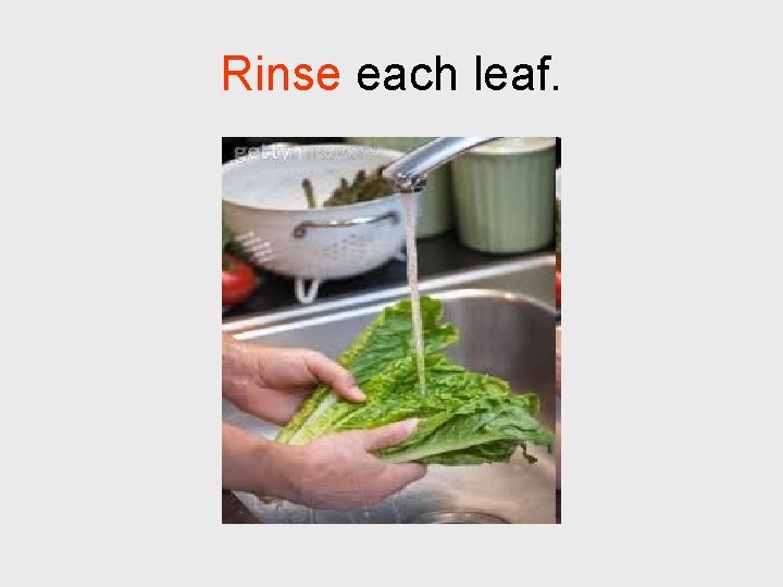 Rinse each leaf. 