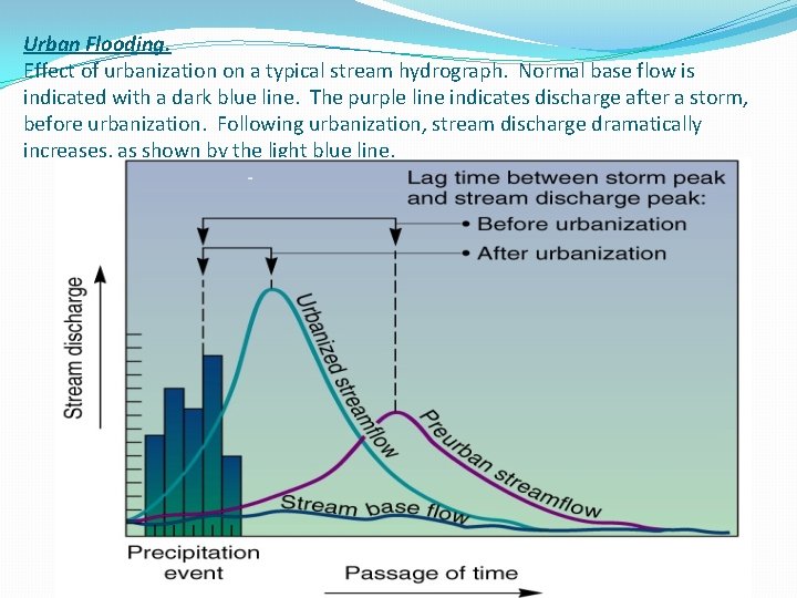 Urban Flooding. Effect of urbanization on a typical stream hydrograph. Normal base flow is