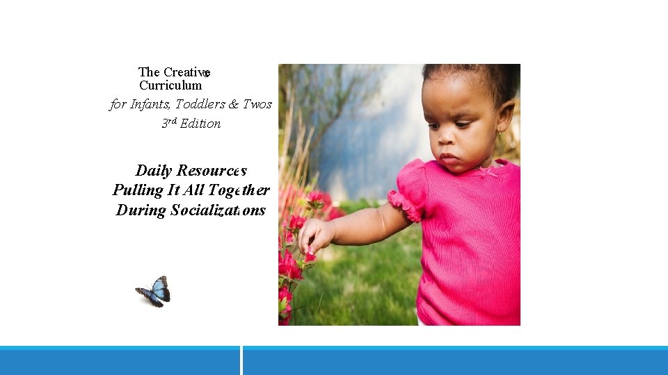 The Creative ® Curriculum for Infants, Toddlers & Twos 3 rd Edition Daily Resources