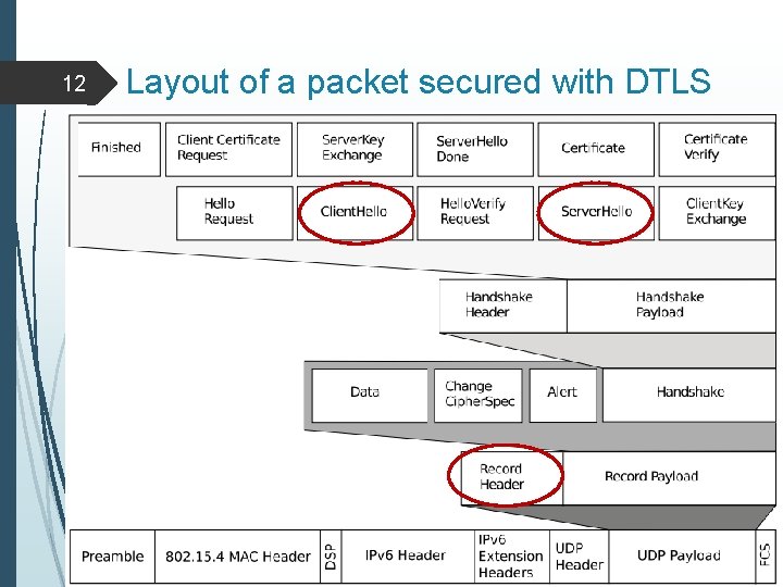 12 Layout of a packet secured with DTLS 