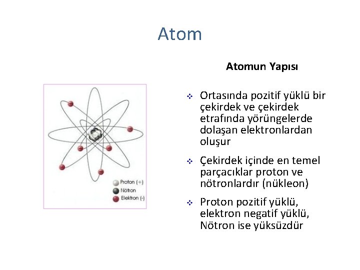 Atomun Yapısı v v v Ortasında pozitif yüklü bir çekirdek ve çekirdek etrafında yörüngelerde