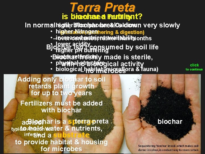 Terra Preta Increased is biochar a Fertility nutrient? • higher Phosphorus & Calcium In