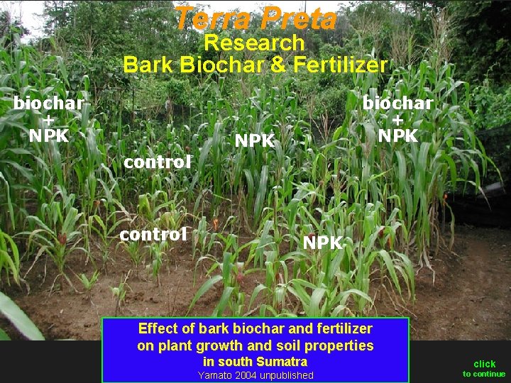 Terra Preta Research Bark Biochar & Fertilizer biochar + NPK control biochar + NPK