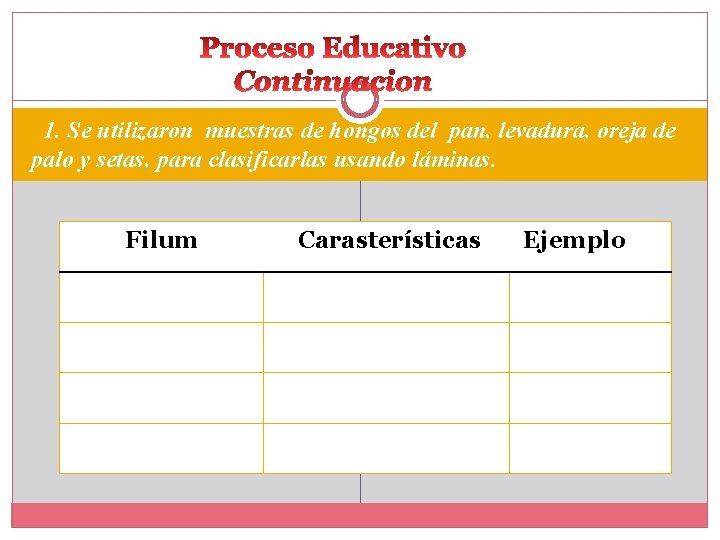 1. Se utilizaron muestras de hongos del pan, levadura, oreja de palo y setas,