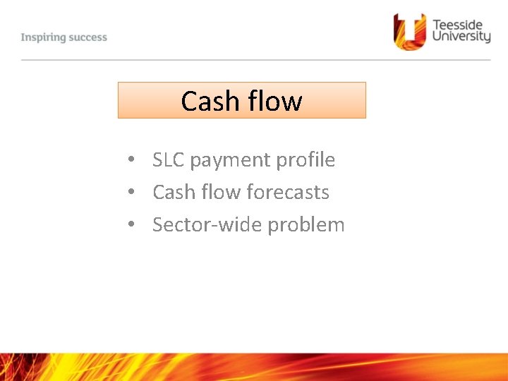 Cash flow • SLC payment profile • Cash flow forecasts • Sector-wide problem 