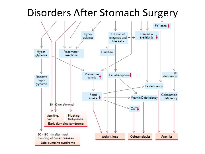 Disorders After Stomach Surgery 