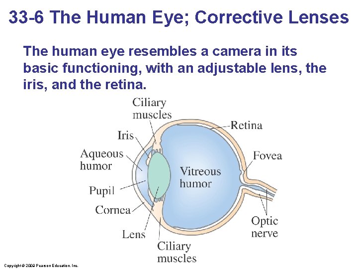 33 -6 The Human Eye; Corrective Lenses The human eye resembles a camera in