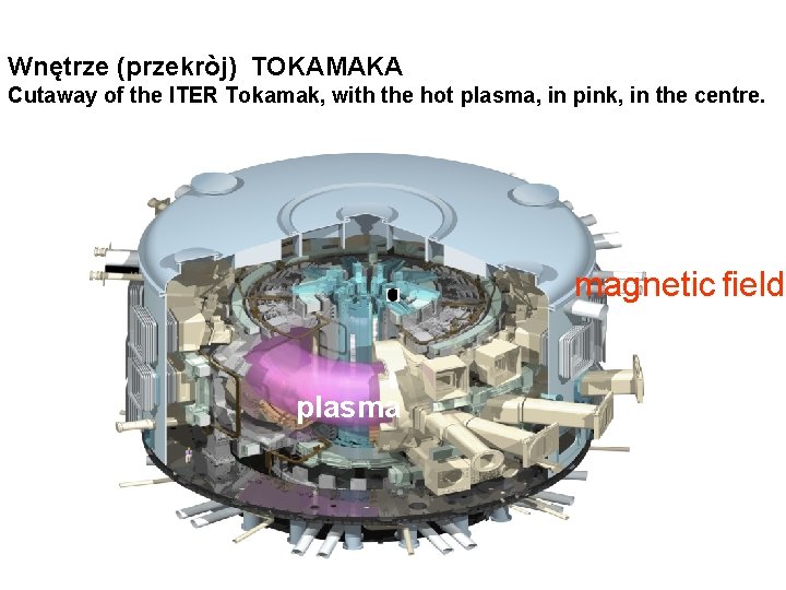 Wnętrze (przekròj) TOKAMAKA Cutaway of the ITER Tokamak, with the hot plasma, in pink,
