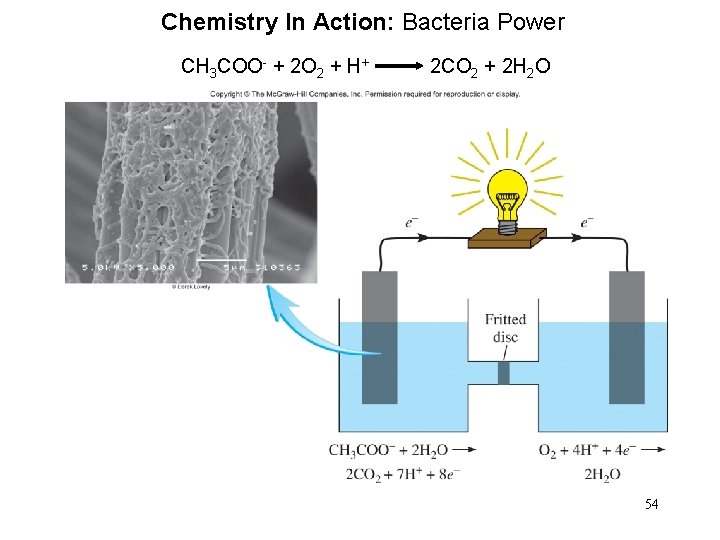 Chemistry In Action: Bacteria Power CH 3 COO- + 2 O 2 + H+