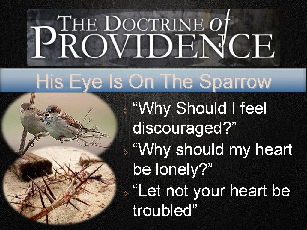 His Eye Is On The Sparrow “Why Should I feel discouraged? ” “Why should