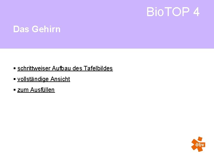 Bio. TOP 4 Das Gehirn § schrittweiser Aufbau des Tafelbildes § vollständige Ansicht §