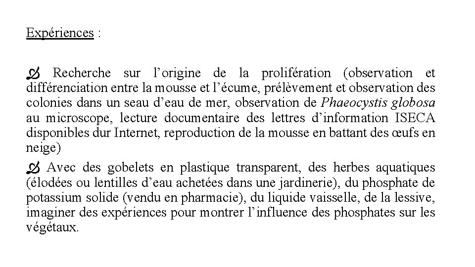 Expériences : Recherche sur l’origine de la prolifération (observation et différenciation entre la mousse