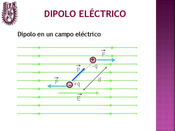 DIPOLO ELÉCTRICO Dipolo en un campo eléctrico + p F - +q E -q