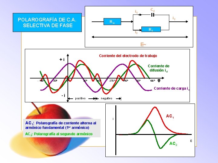 Cd i. C POLAROGRAFÍA DE C. A. SELECTIVA DE FASE i. F Rm RF