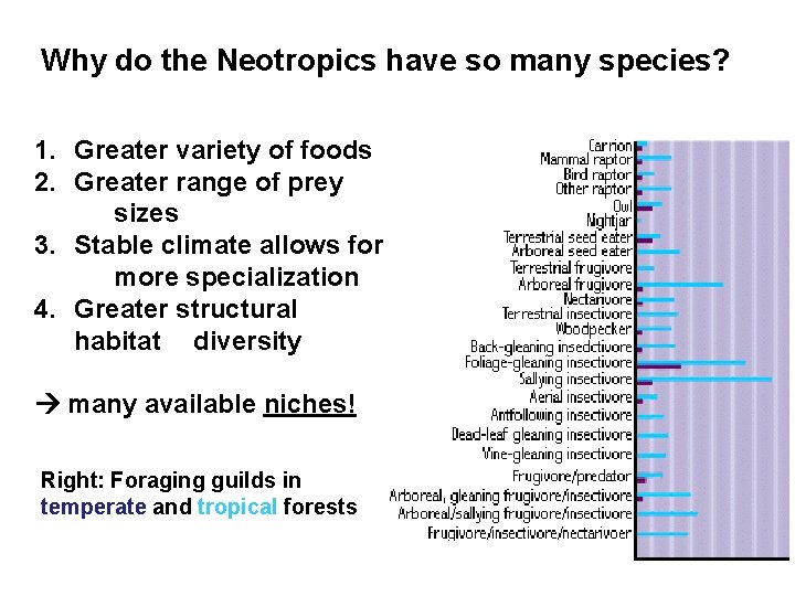 Why do the Neotropics have so many species? 1. Greater variety of foods 2.
