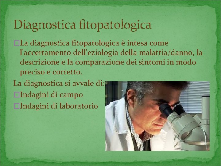 Diagnostica fitopatologica �La diagnostica fitopatologica è intesa come l’accertamento dell’eziologia della malattia/danno, la descrizione