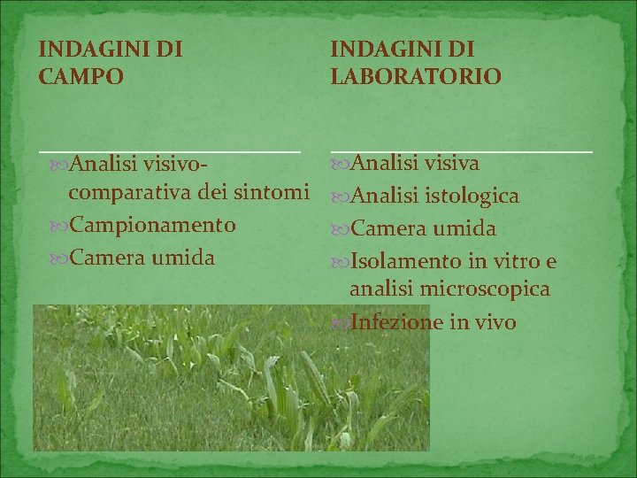 INDAGINI DI CAMPO Analisi visivo- INDAGINI DI LABORATORIO Analisi visiva comparativa dei sintomi Analisi