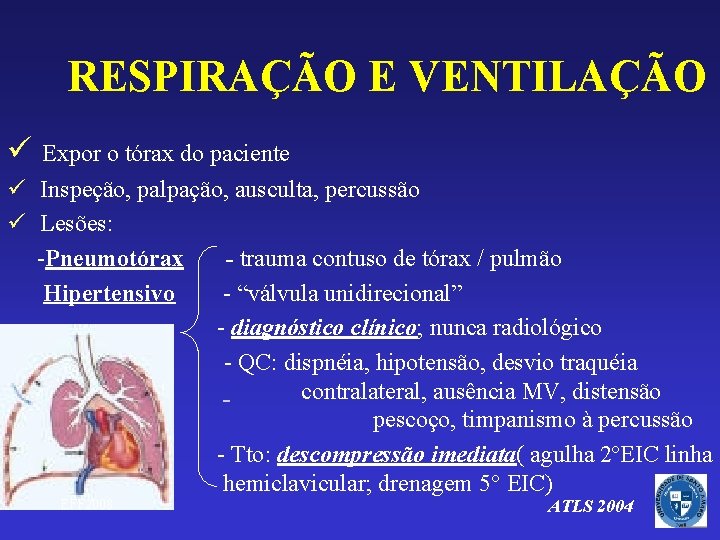 RESPIRAÇÃO E VENTILAÇÃO ü Expor o tórax do paciente ü Inspeção, palpação, ausculta, percussão