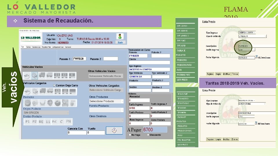 v Sistema de Recaudación. FLAMA 2019 - 1 vacíos Veh. 2 Tarifas 2018 -2019