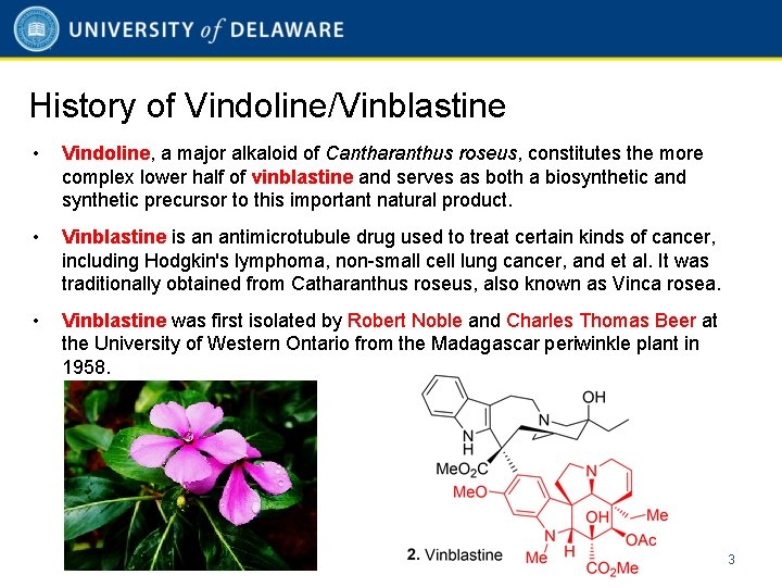 History of Vindoline/Vinblastine • Vindoline, a major alkaloid of Cantharanthus roseus, constitutes the more