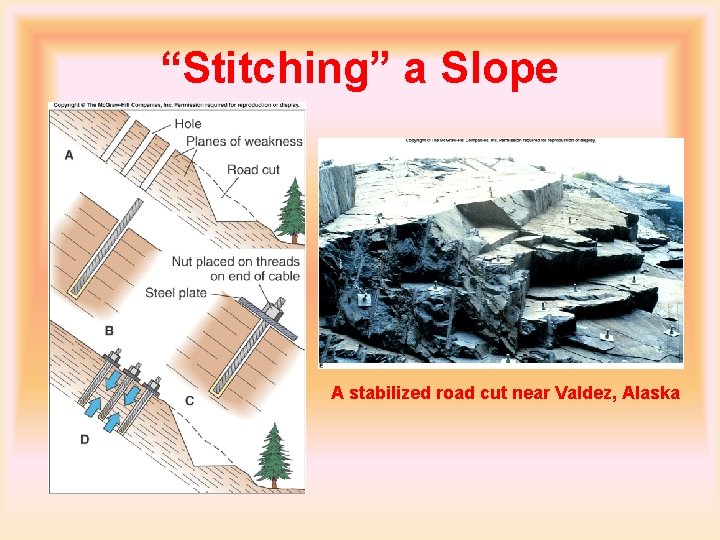 “Stitching” a Slope A stabilized road cut near Valdez, Alaska 