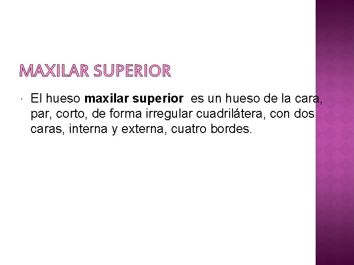 MAXILAR SUPERIOR El hueso maxilar superior es un hueso de la cara, par, corto,