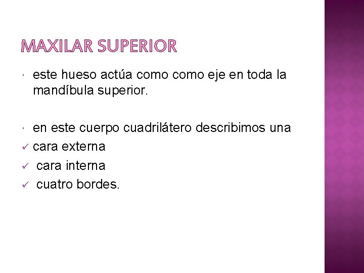 MAXILAR SUPERIOR este hueso actúa como eje en toda la mandíbula superior. en este