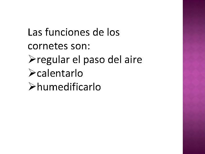 Las funciones de los cornetes son: Øregular el paso del aire Øcalentarlo Øhumedificarlo 