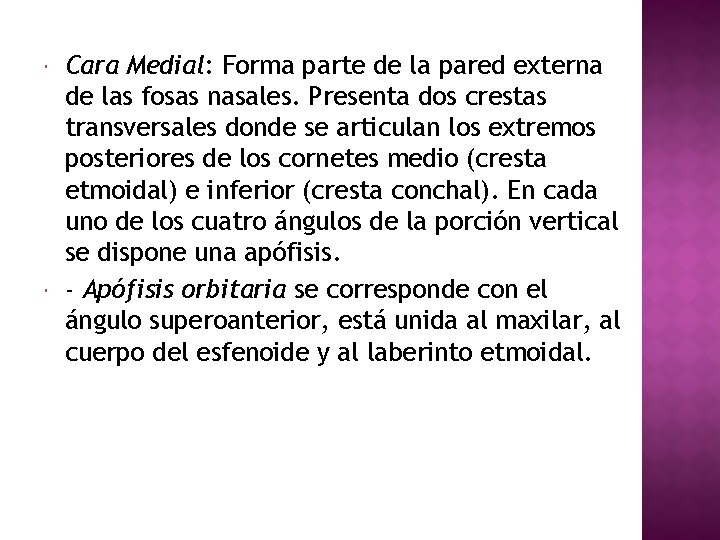  Cara Medial: Forma parte de la pared externa de las fosas nasales. Presenta