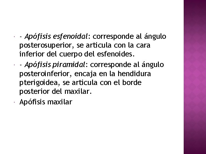  - Apófisis esfenoidal: corresponde al ángulo posterosuperior, se articula con la cara inferior