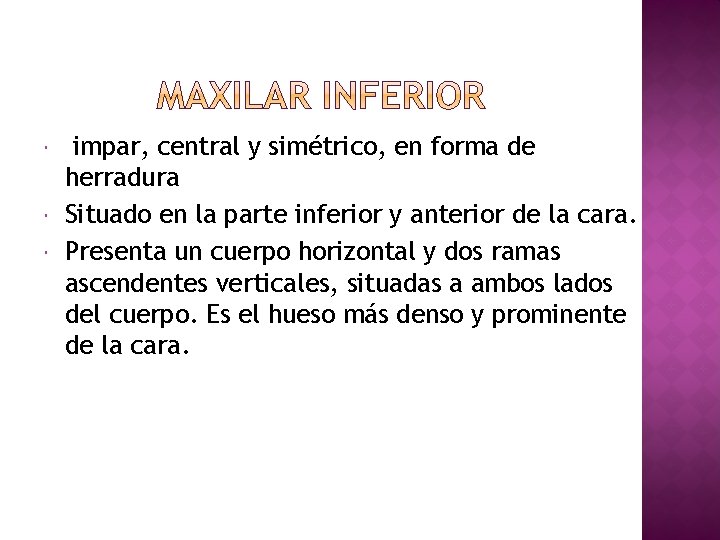  impar, central y simétrico, en forma de herradura Situado en la parte inferior