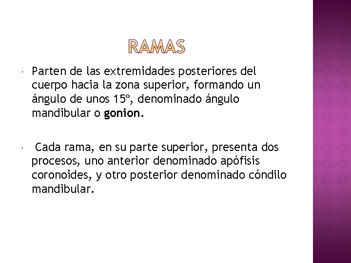  Parten de las extremidades posteriores del cuerpo hacia la zona superior, formando un