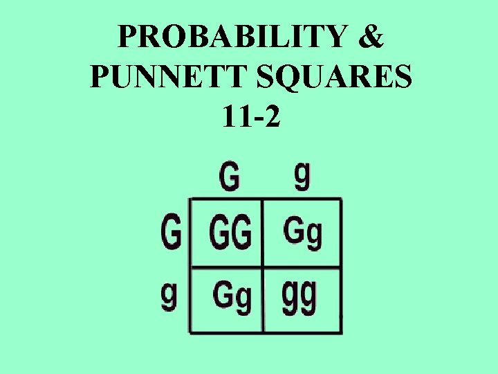 PROBABILITY & PUNNETT SQUARES 11 -2 