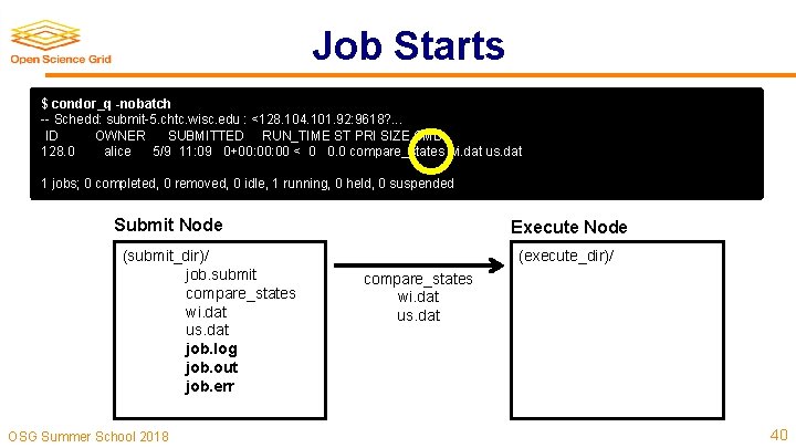 Job Starts $ condor_q -nobatch -- Schedd: submit-5. chtc. wisc. edu : <128. 104.