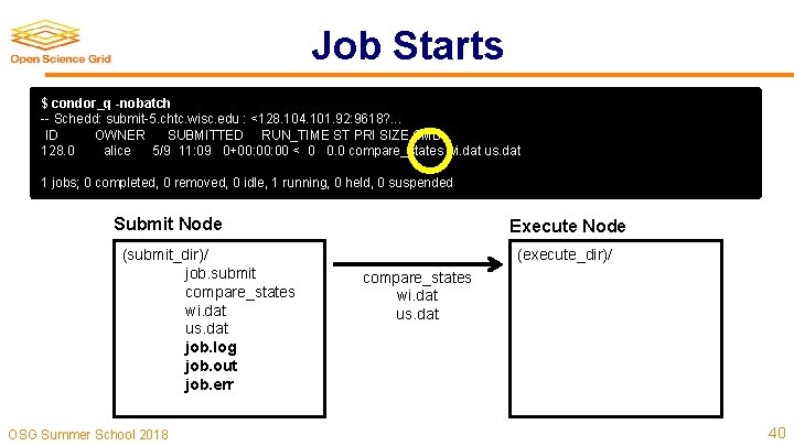 Job Starts $ condor_q -nobatch -- Schedd: submit-5. chtc. wisc. edu : <128. 104.