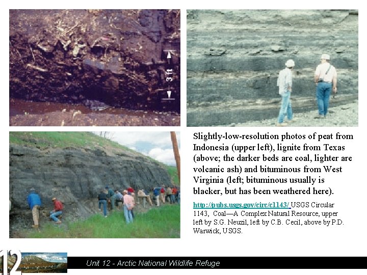Slightly-low-resolution photos of peat from Indonesia (upper left), lignite from Texas (above; the darker
