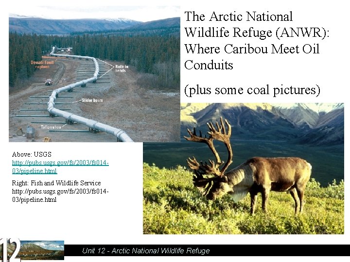 The Arctic National Wildlife Refuge (ANWR): Where Caribou Meet Oil Conduits (plus some coal