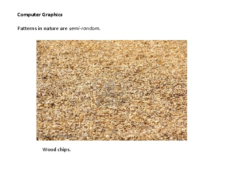 Computer Graphics Patterns in nature are semi-random. Wood chips. 