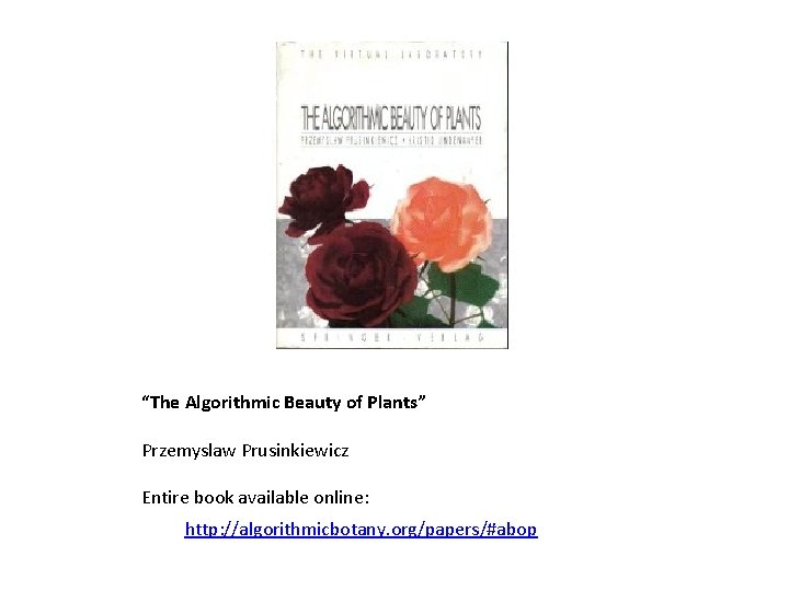“The Algorithmic Beauty of Plants” Przemyslaw Prusinkiewicz Entire book available online: http: //algorithmicbotany. org/papers/#abop