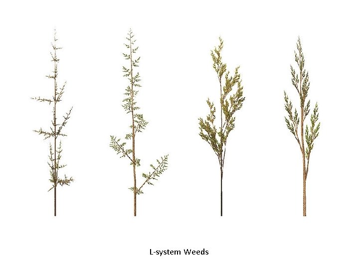 L-system Weeds 