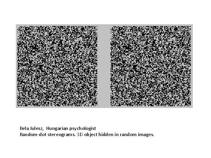 Bela Julesz, Hungarian psychologist Random-dot stereograms. 3 D object hidden in random images. 